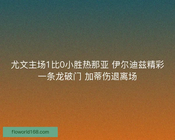 尤文主场1比0小胜热那亚 伊尔迪兹精彩一条龙破门 加蒂伤退离场 尤文主场1比0小胜热那亚 伊尔迪兹精彩一条龙破门 加蒂伤退离场