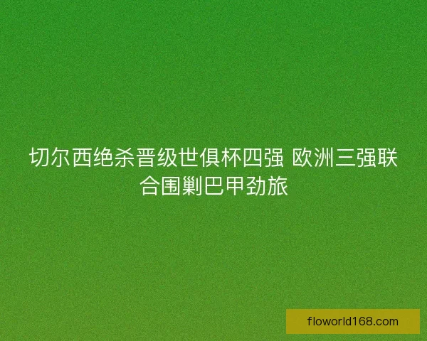 切尔西绝杀晋级世俱杯四强 欧洲三强联合围剿巴甲劲旅