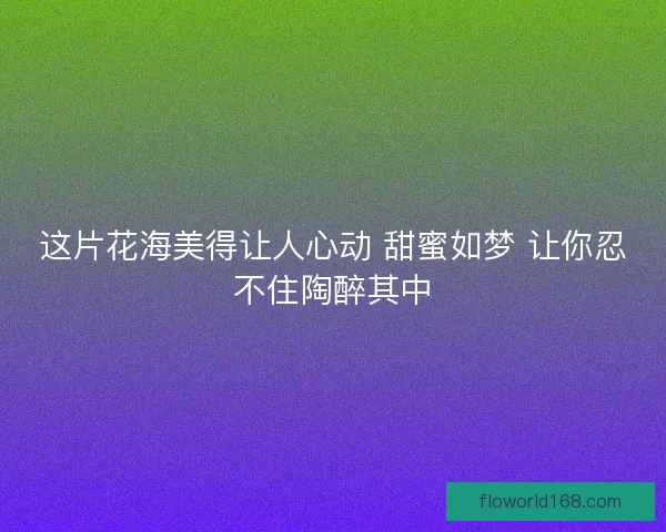 这片花海美得让人心动 甜蜜如梦 让你忍不住陶醉其中