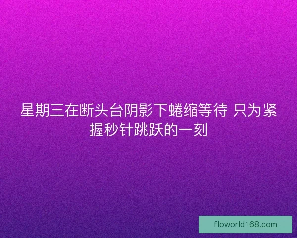 星期三在断头台阴影下蜷缩等待 只为紧握秒针跳跃的一刻