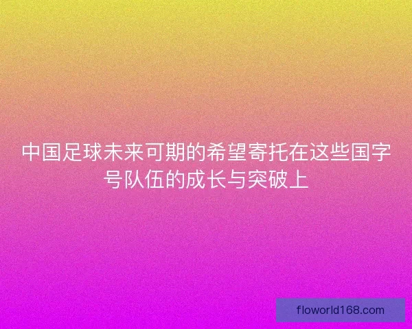 中国足球未来可期的希望寄托在这些国字号队伍的成长与突破上